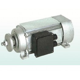 Asynchonous single-phase and three-phase electric motors